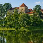 Свірзький замок